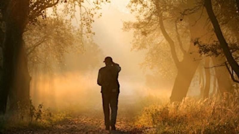 Wandeling met natuurgidsen vroege vogels