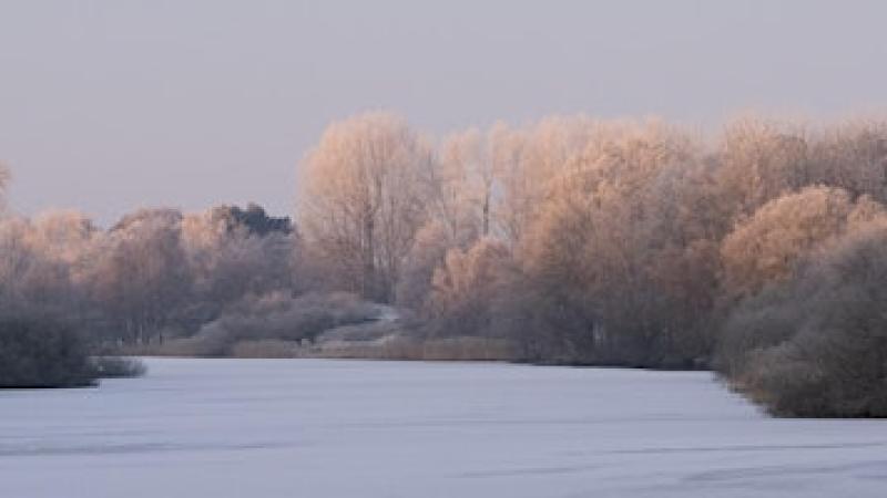 Dwalen door de  winterse duinen