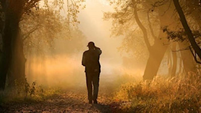 Wandeling met natuurgidsen voor vroege vogels