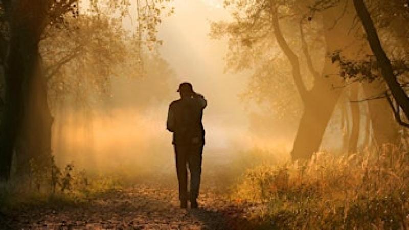 Wandeling met natuurgidsen voor vroege vogels