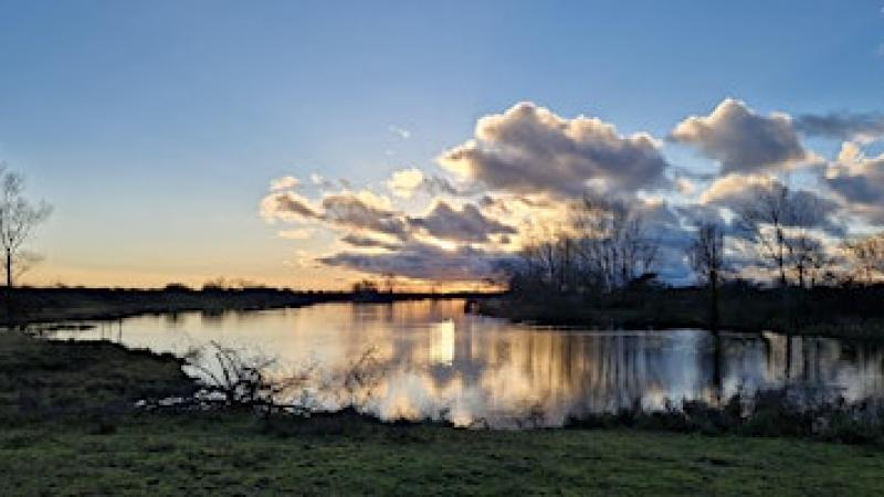 Avondgeluiden in het duin (fietsexcursie)