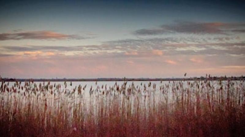 Loenderveense plas: Nacht van de nacht