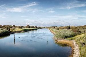 Fietsexcursie: start ingang De Zilk     deze excursie is GEANNULEERD