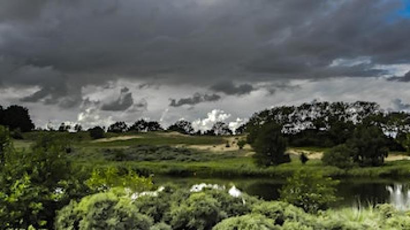 Wandeling met natuurgidsen vroege vogels