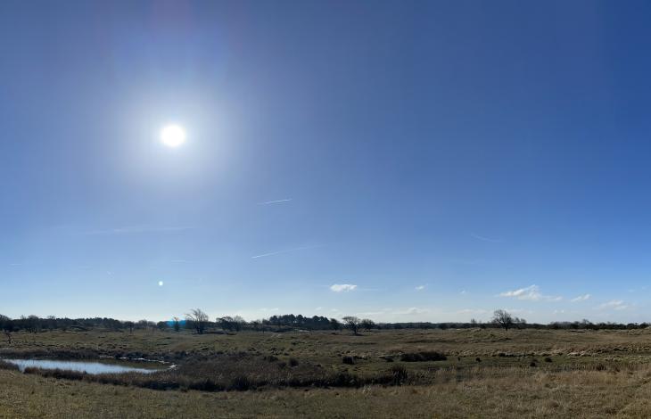 Strak blauw