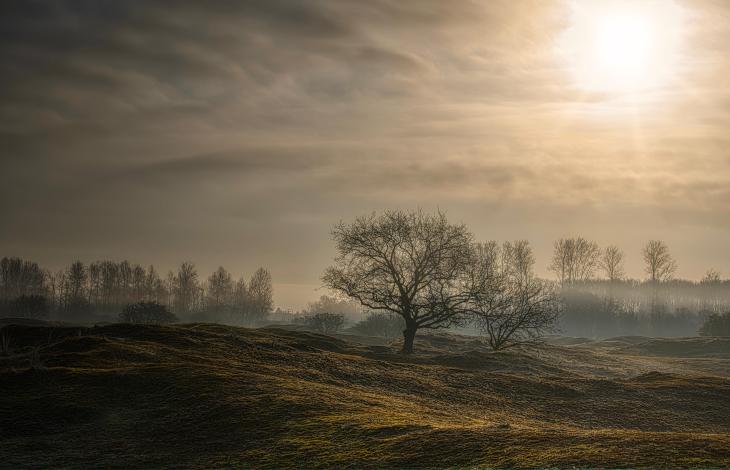 Vanmorgen fluisterde het bos.
