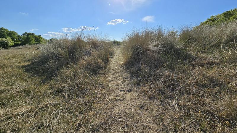 Zomerse wandeling